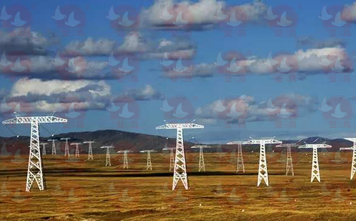 電力行業(yè)使用雙鳥電動(dòng)葫蘆